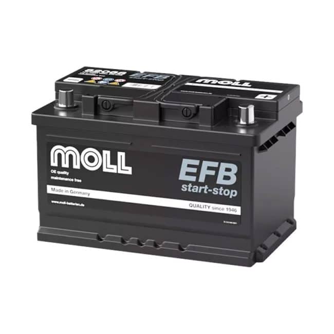 MOLL EFB LB3（LBN3対応）82068