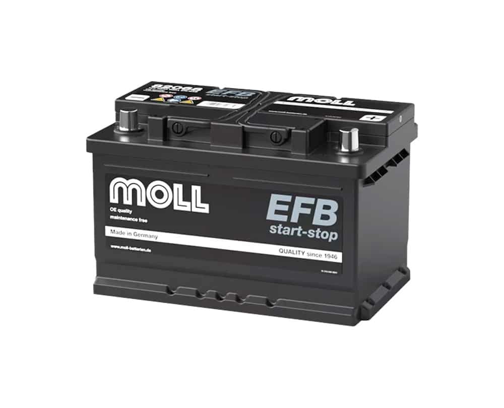 MOLL EFB LB3（LBN3対応）82068