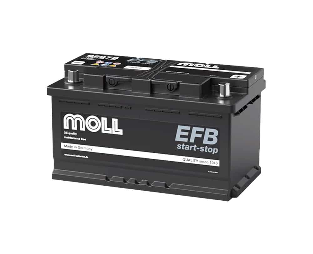 MOLL EFB LB4（LBN4対応）82078