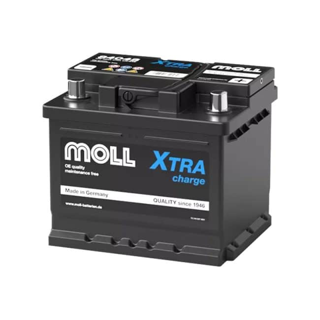 MOLL LB1（LBN1対応）84048