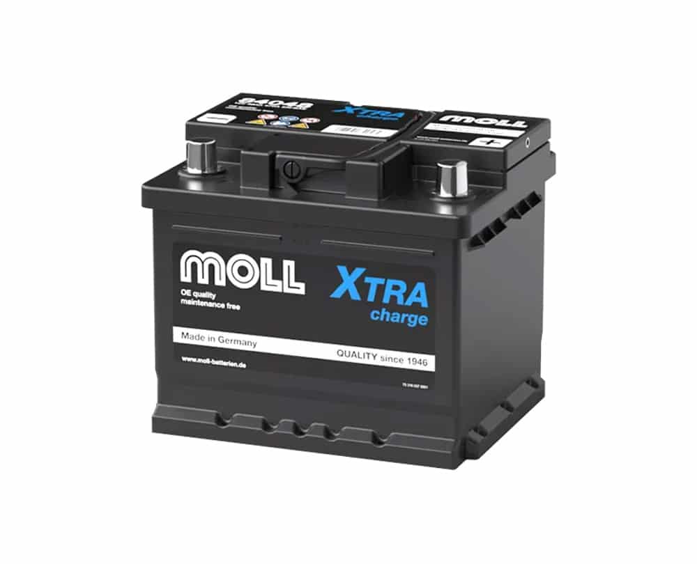 MOLL LB1（LBN1対応）84048
