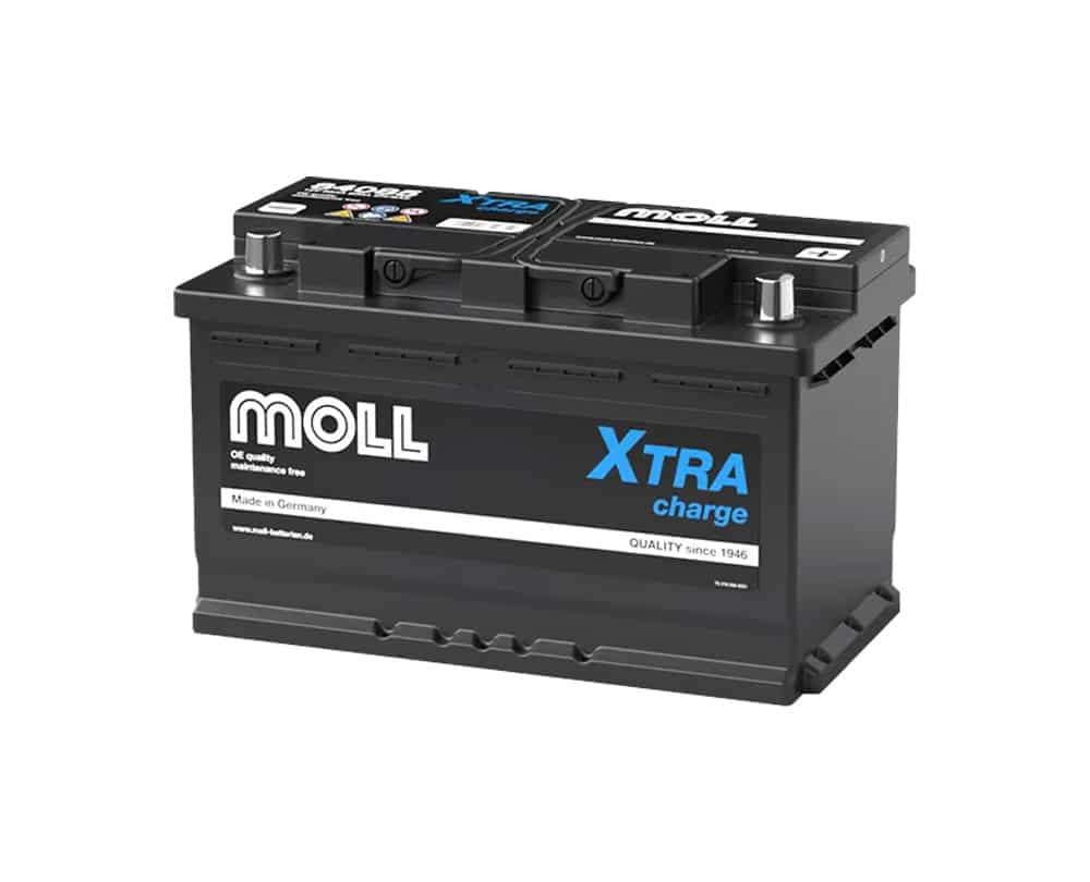 MOLL L4（LN4対応）84085
