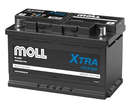 MOLL LB4（LBN4対応）84082
